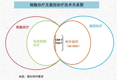德恒律師事務(wù)所的專(zhuān)業(yè)視角 人體干細(xì)胞技術(shù)在北京與重慶的開(kāi)發(fā)與應(yīng)用法律實(shí)務(wù)